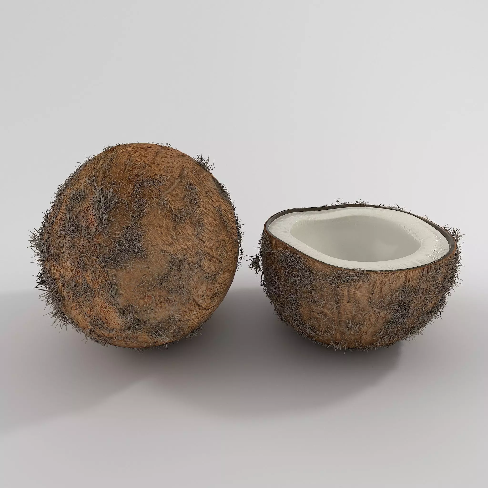 Realistic Coconut - Low-poly 3D model_0