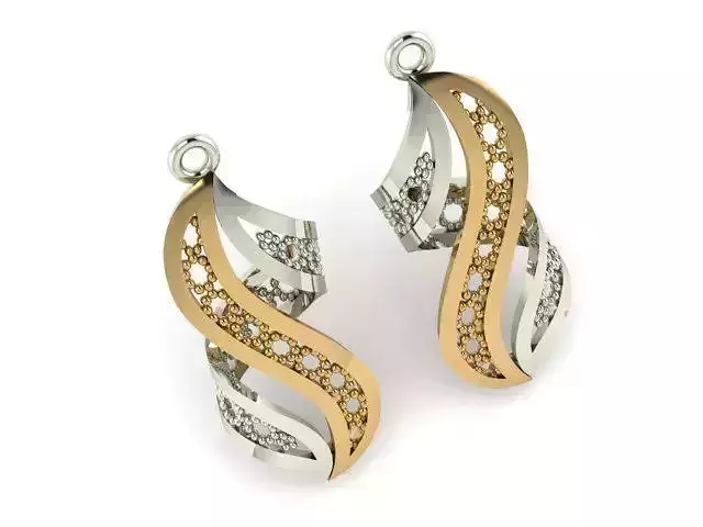 Earrings T01132