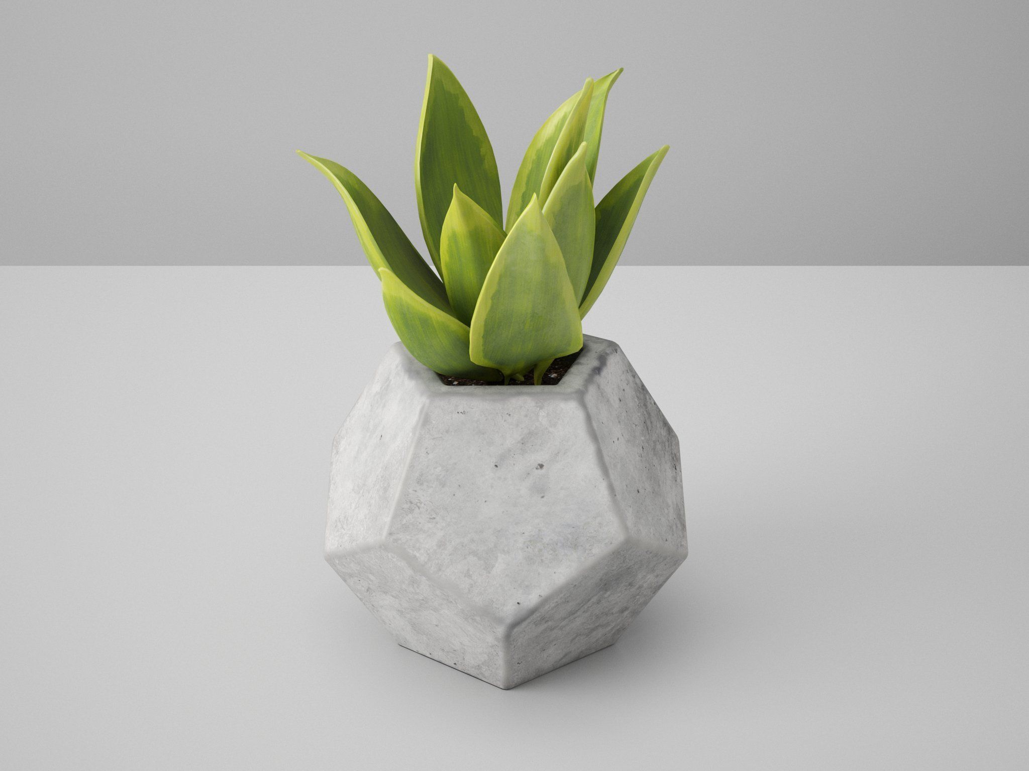 Concrete Potted Cactus Set 3D model_9