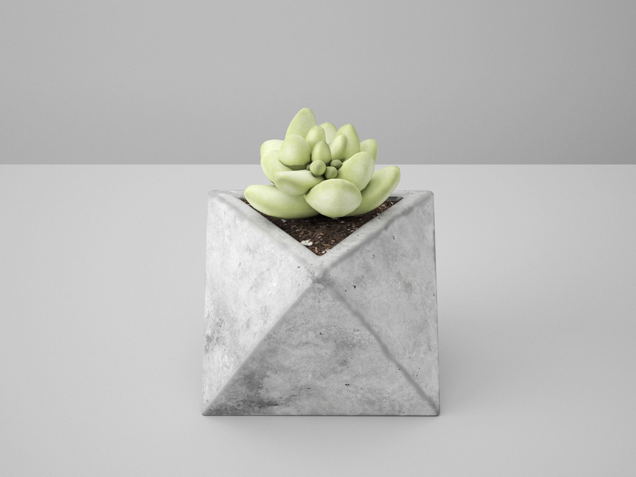 Concrete Potted Cactus Set 3D model_10