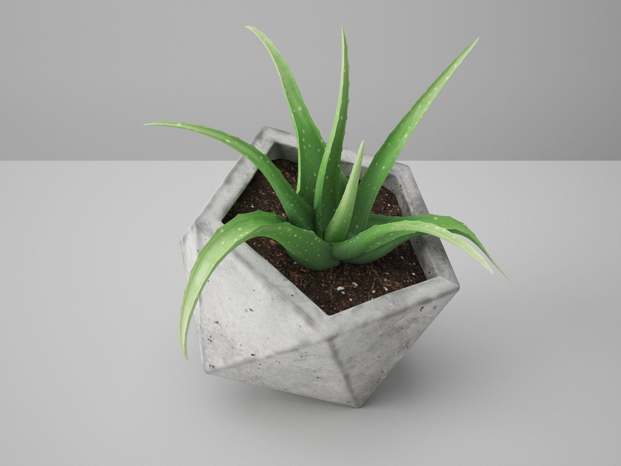 Concrete Potted Cactus Set 3D model_8