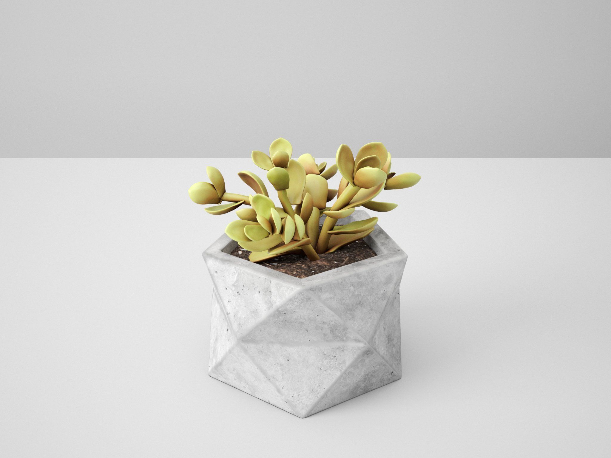 Concrete Potted Cactus Set 3D model_11