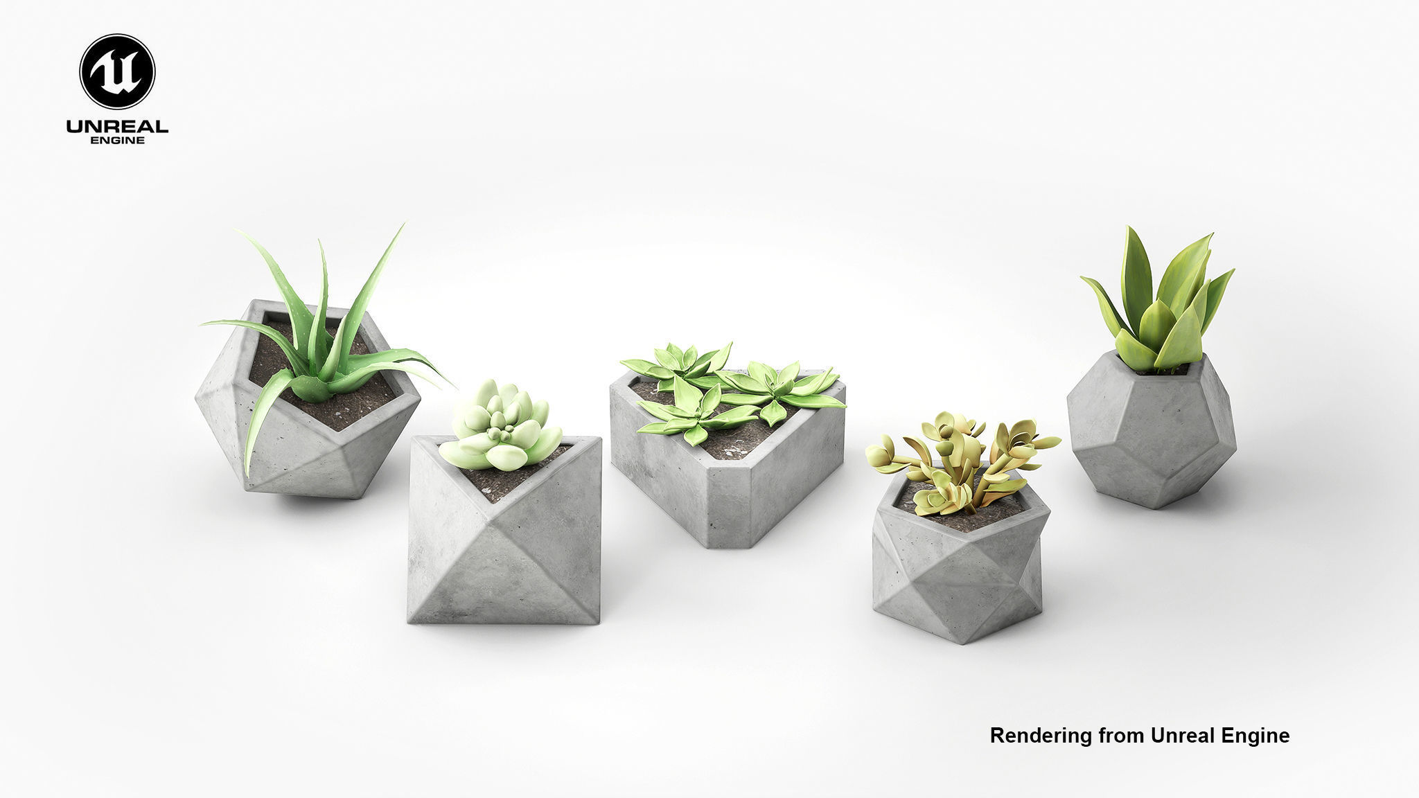 Concrete Potted Cactus Set 3D model_2