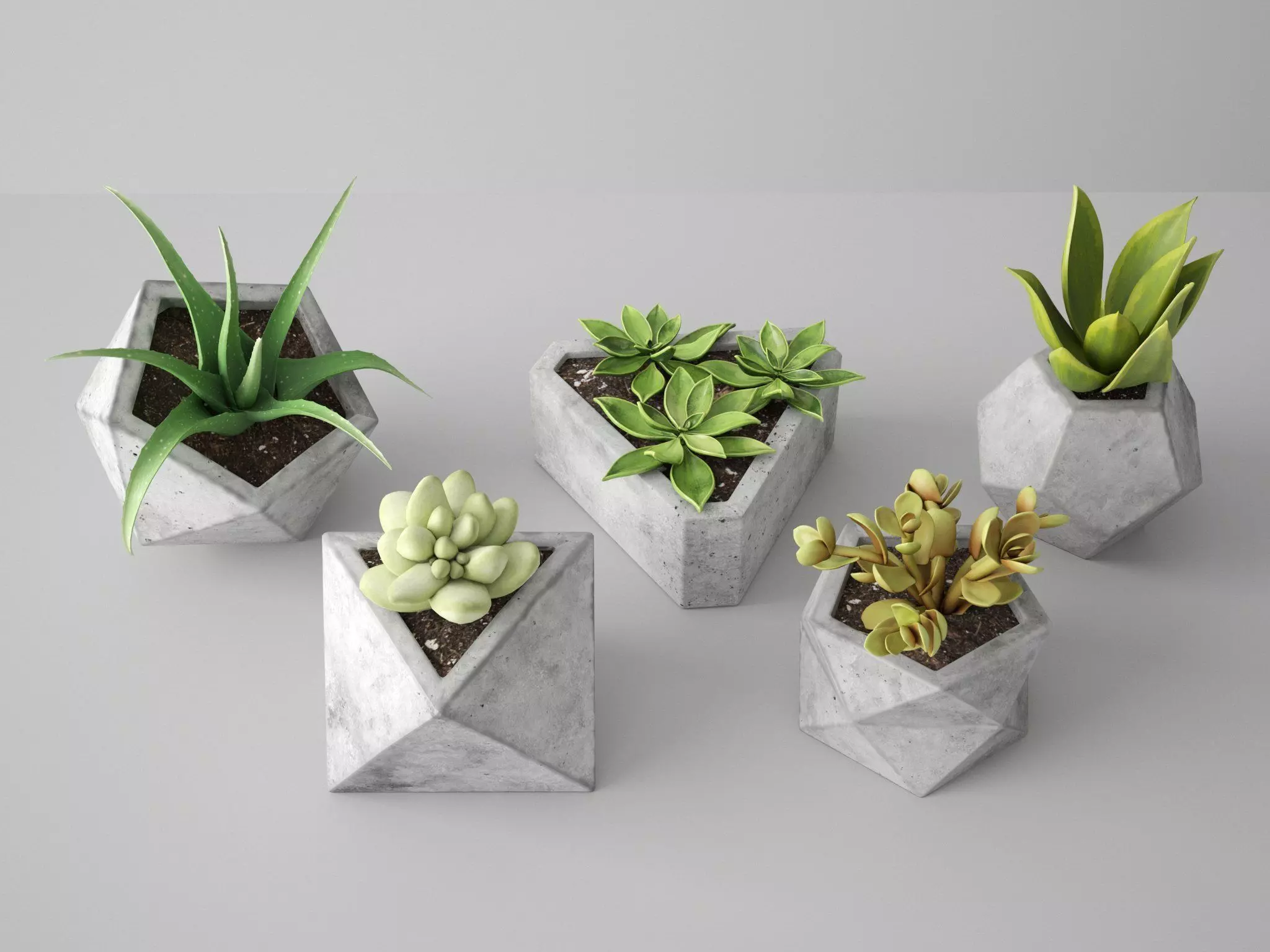 Concrete Potted Cactus Set 3D model_0