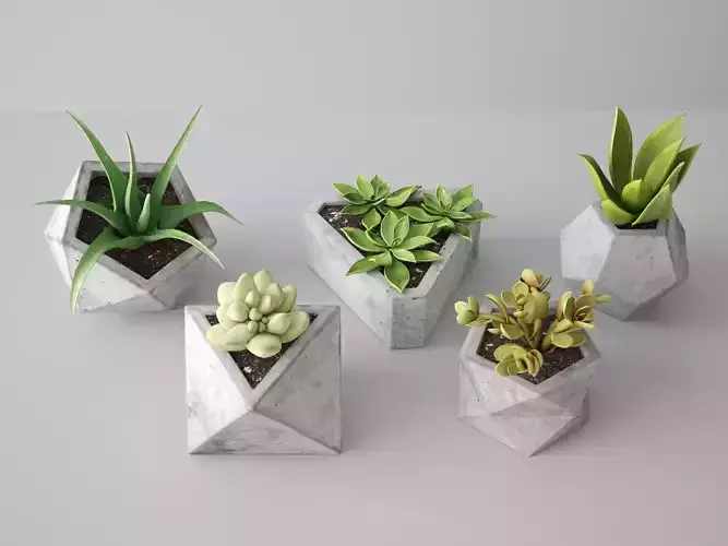 Concrete Potted Cactus Set 3D model