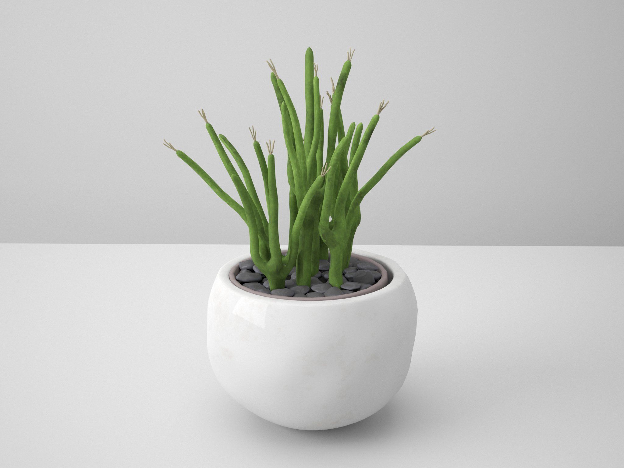 White Potted Cactus Set 3D model_6