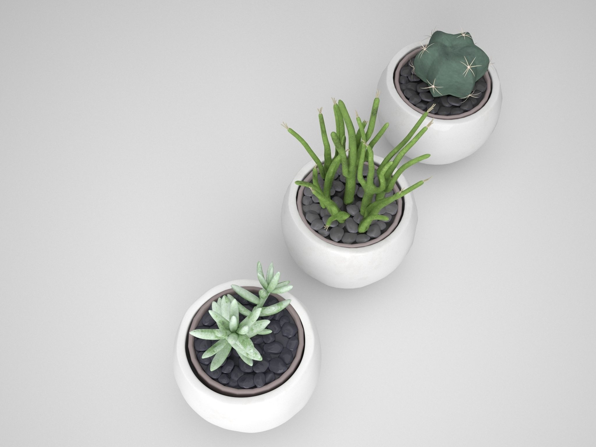 White Potted Cactus Set 3D model_1