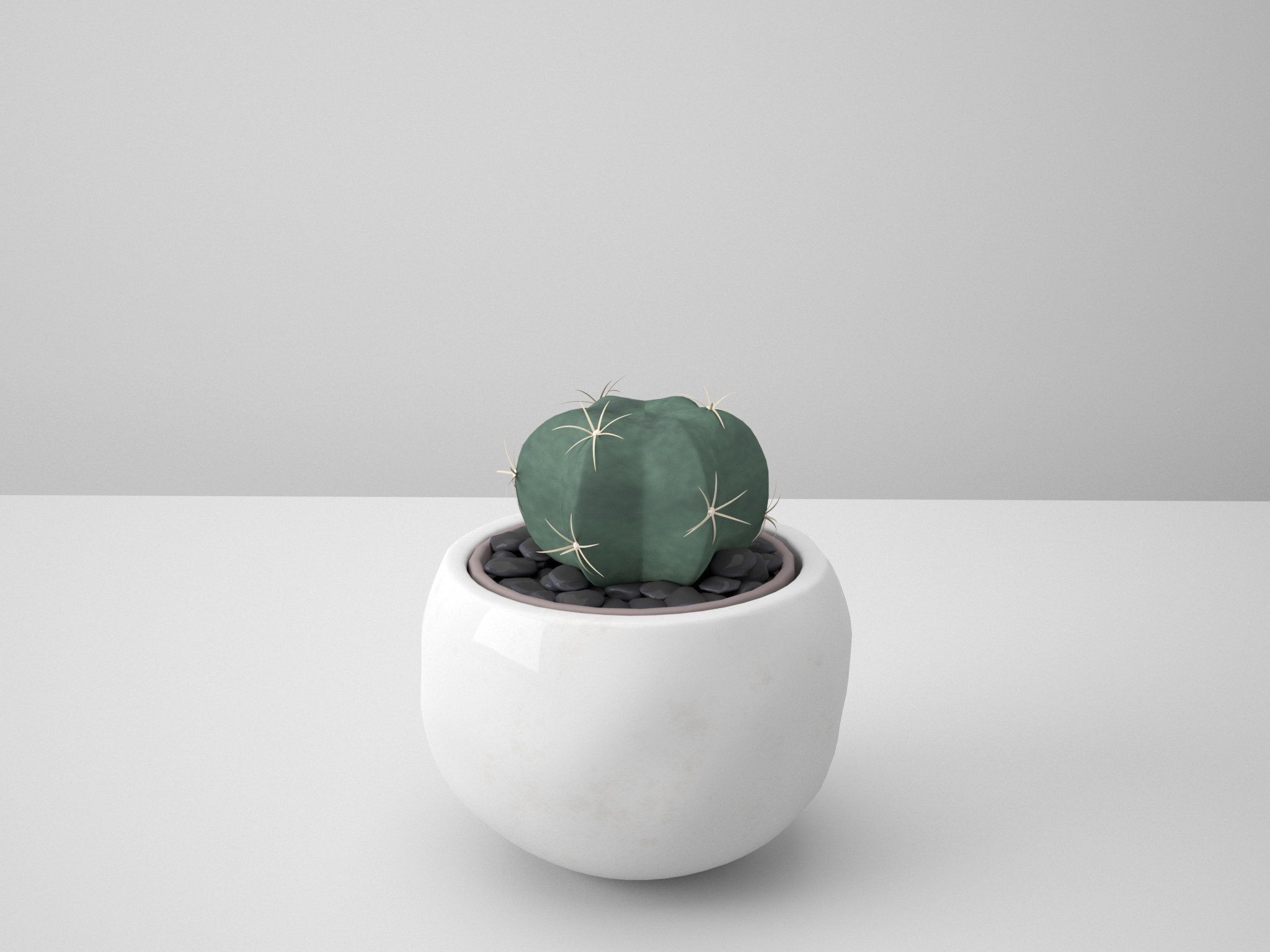 White Potted Cactus Set 3D model_7
