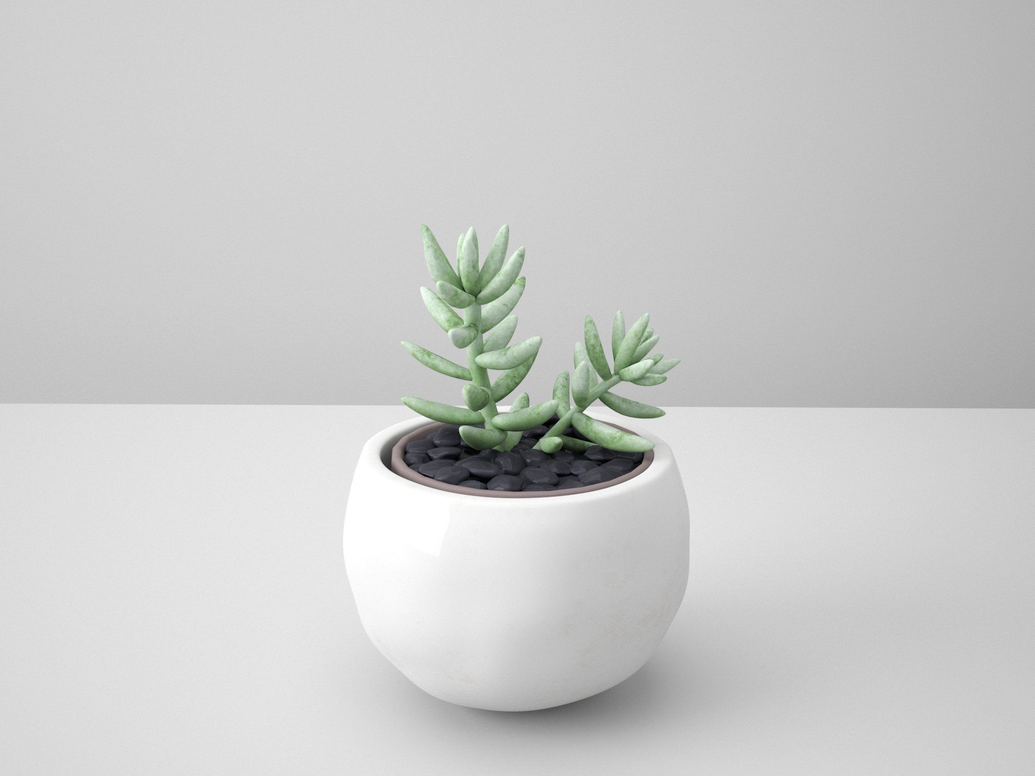 White Potted Cactus Set 3D model_5