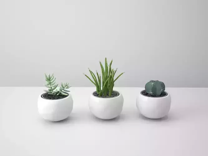 White Potted Cactus Set 3D model White Potted Cactus Set 3D model