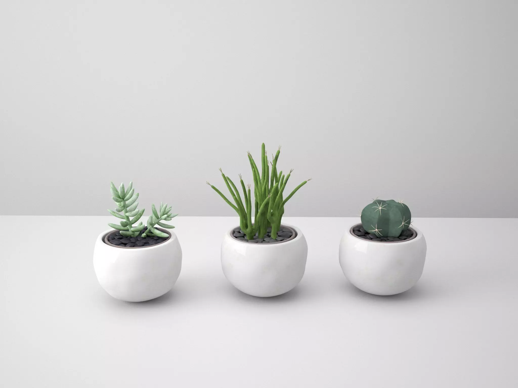 White Potted Cactus Set 3D model_0