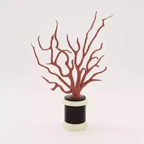 Sculpture Coral - 18th century 3D model