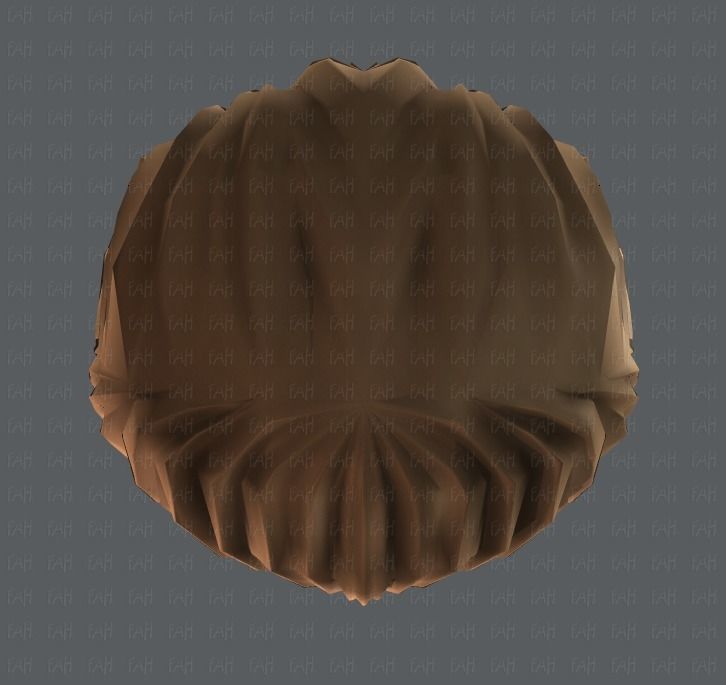 3D Hair style for girl V06 Low-poly 3D model_35