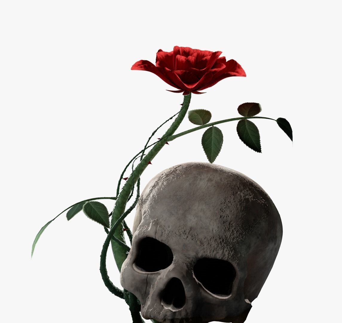 Rosa Kordesii 3D model_3