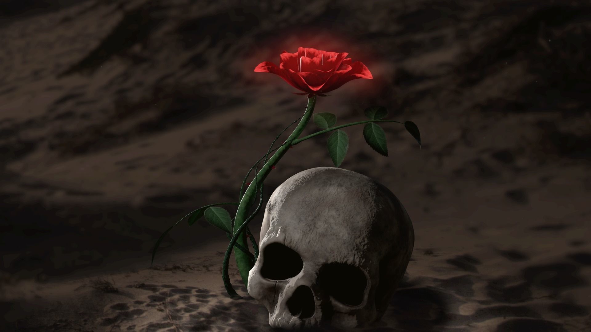 Rosa Kordesii 3D model_6