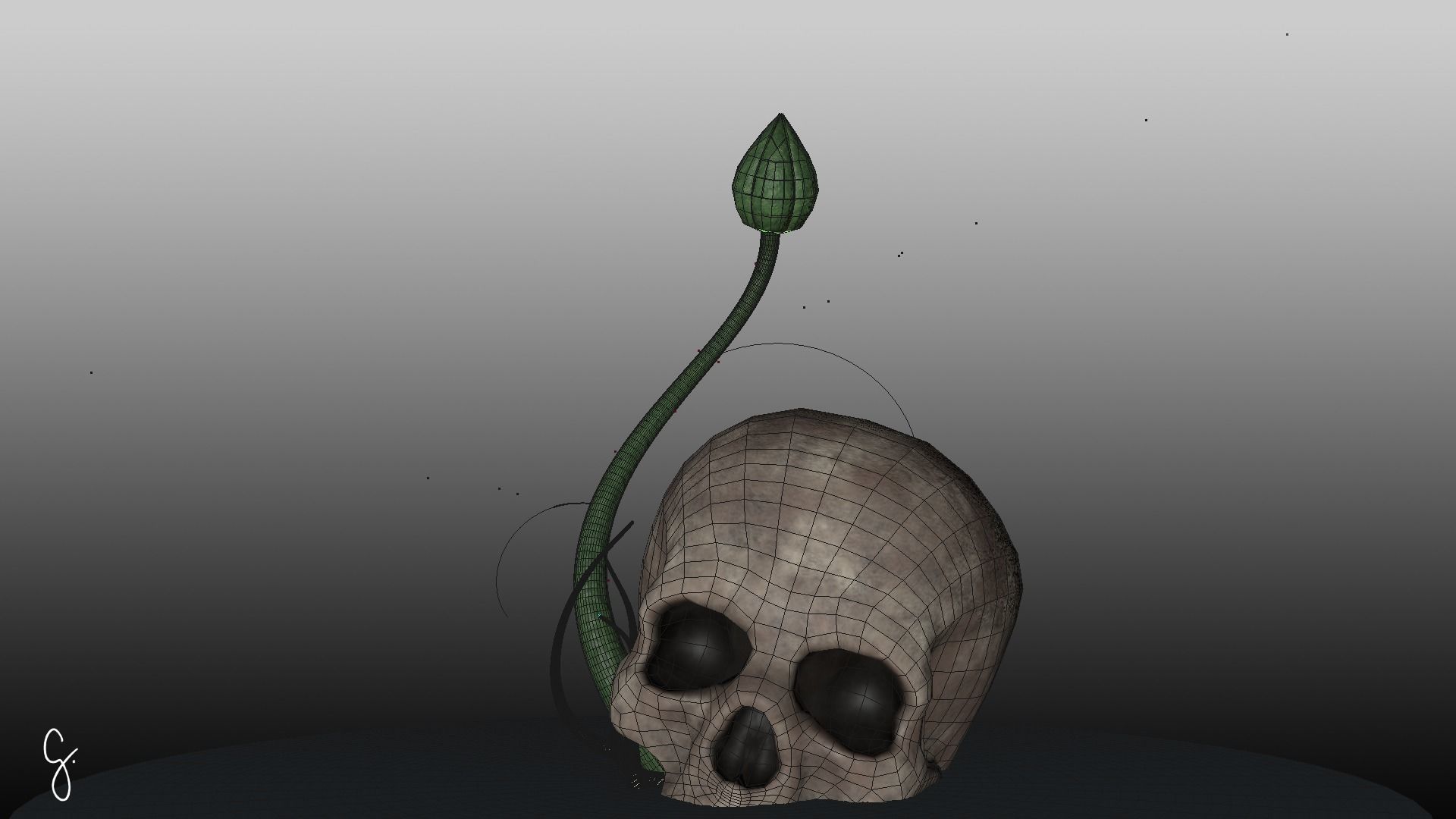 Rosa Kordesii 3D model_4