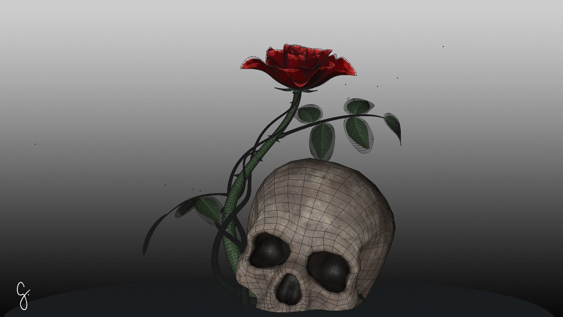 Rosa Kordesii 3D model_5