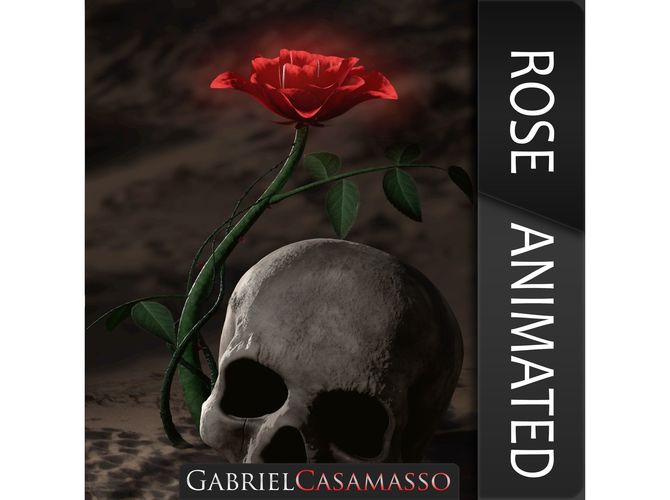 Rosa Kordesii 3D model
