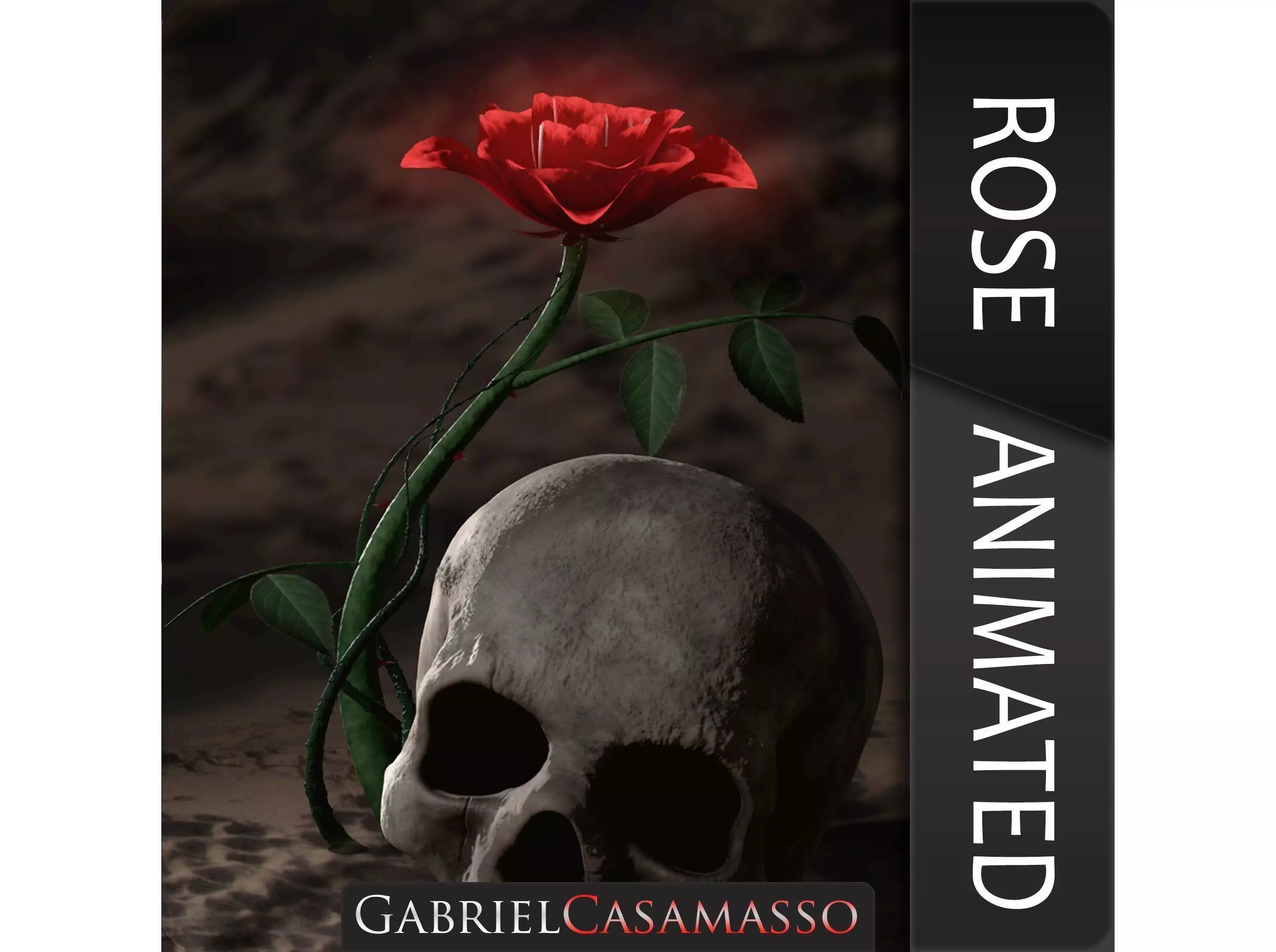 Rosa Kordesii 3D model_0