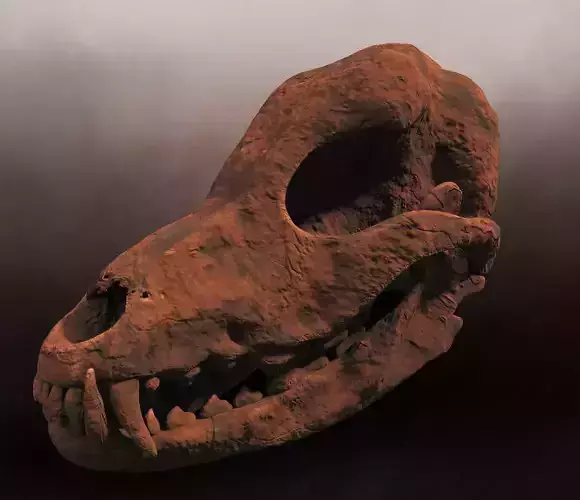 Petrified Canine Skull Low-poly 3D model