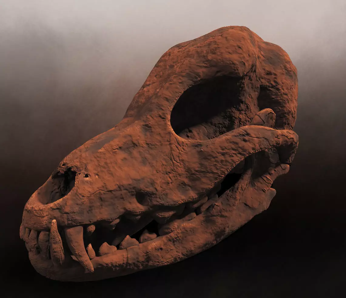 Petrified Canine Skull Low-poly 3D model_0