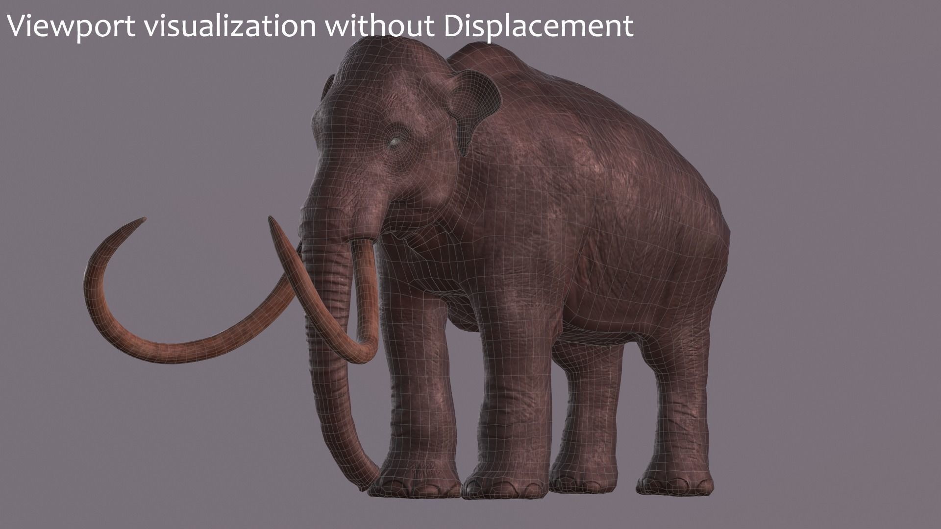 Columbian Mammoth - Mammuthus Columbi 3D model_6