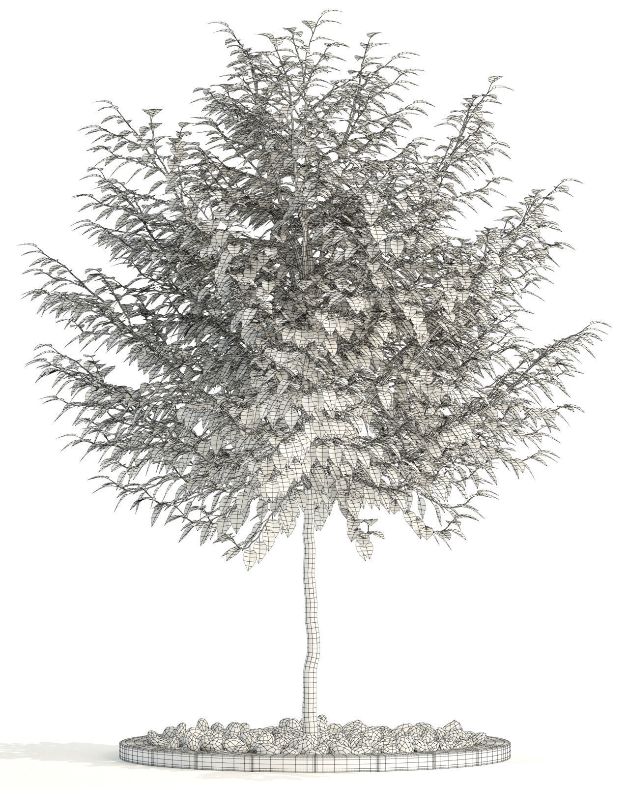 Plants collection 83 3D model_6