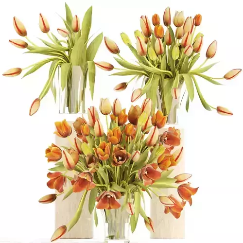 Bouquet of tulips set 3D model