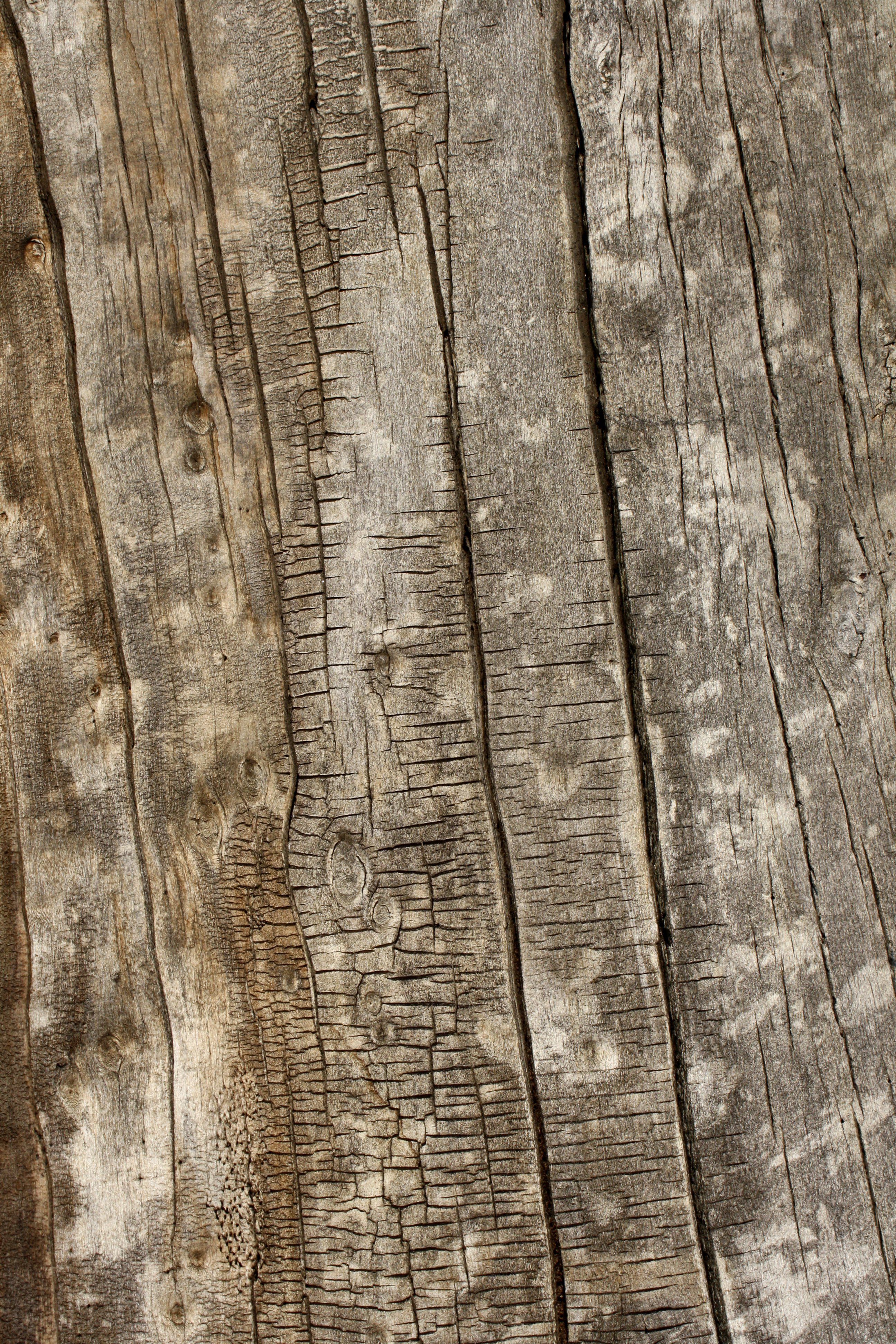 House little at night 3D model_9