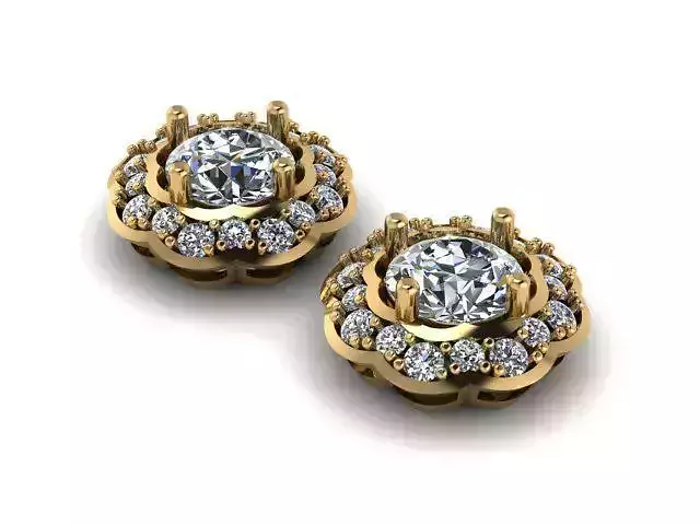 Earrings T01143