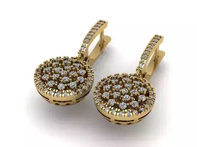 Earrings T01149