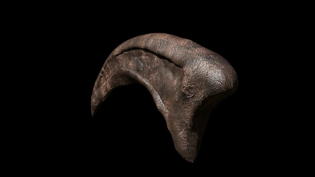 Dr Alan Grant Raptor Claw 3D model_1