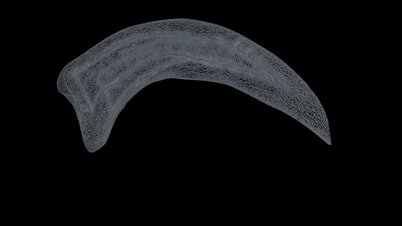 Dr Alan Grant Raptor Claw 3D model_3