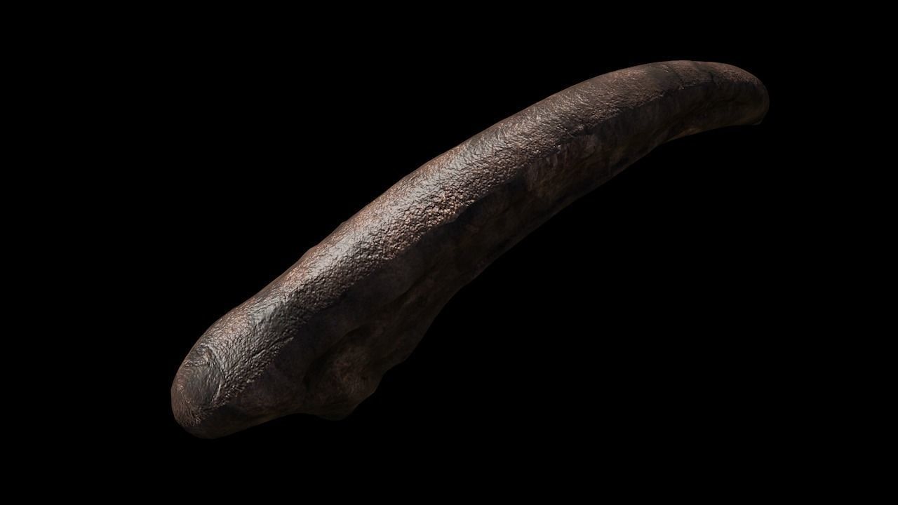 Dr Alan Grant Raptor Claw 3D model_2