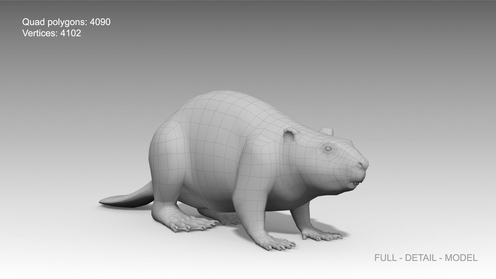 Beaver Low-poly 3D model_9