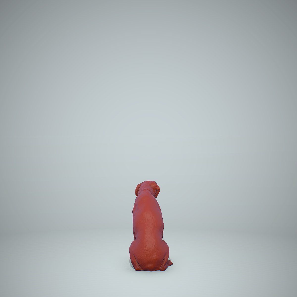 Dog Sitting Still Dog0004-HD2-P01-S 3D model_59