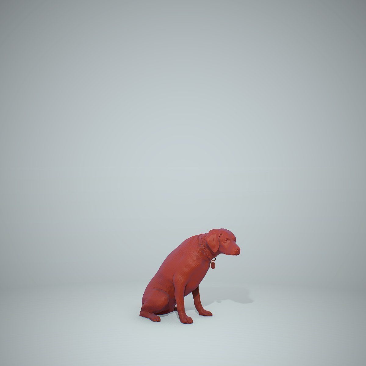 Dog Sitting Still Dog0004-HD2-P01-S 3D model_71