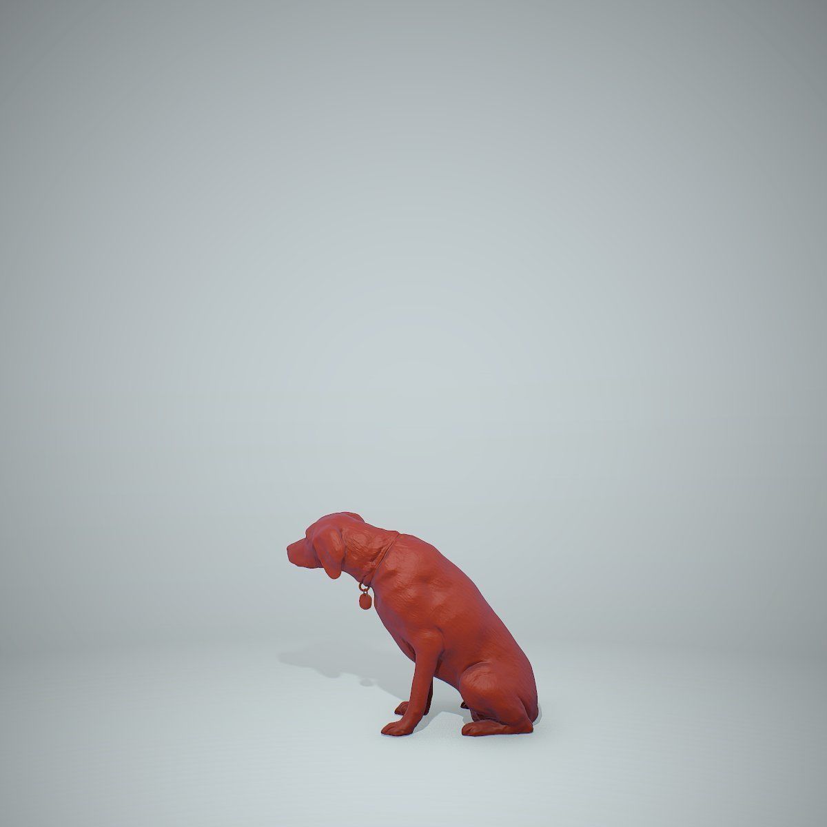 Dog Sitting Still Dog0004-HD2-P01-S 3D model_50