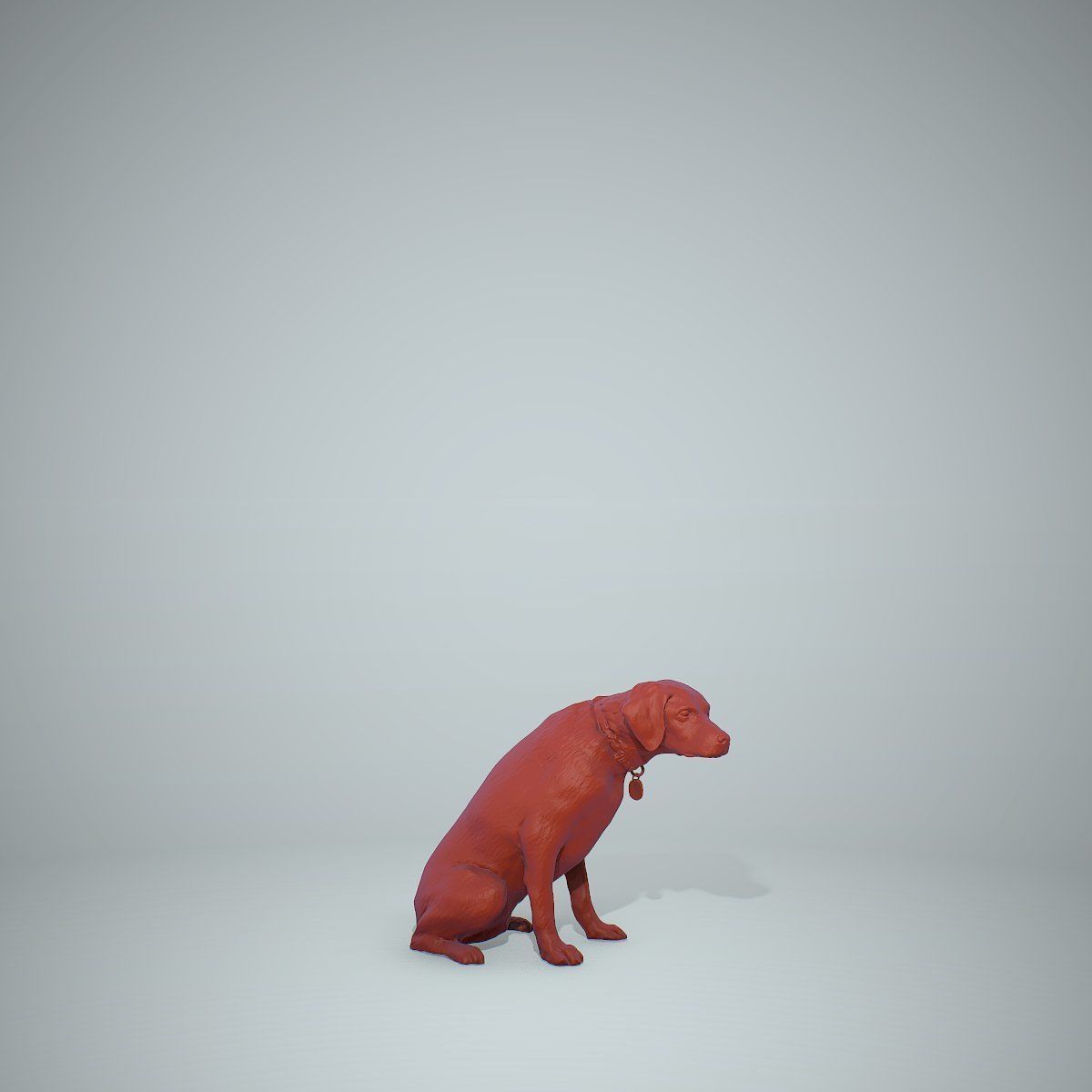 Dog Sitting Still Dog0004-HD2-P01-S 3D model_70