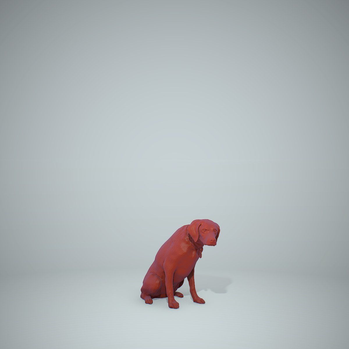 Dog Sitting Still Dog0004-HD2-P01-S 3D model_37