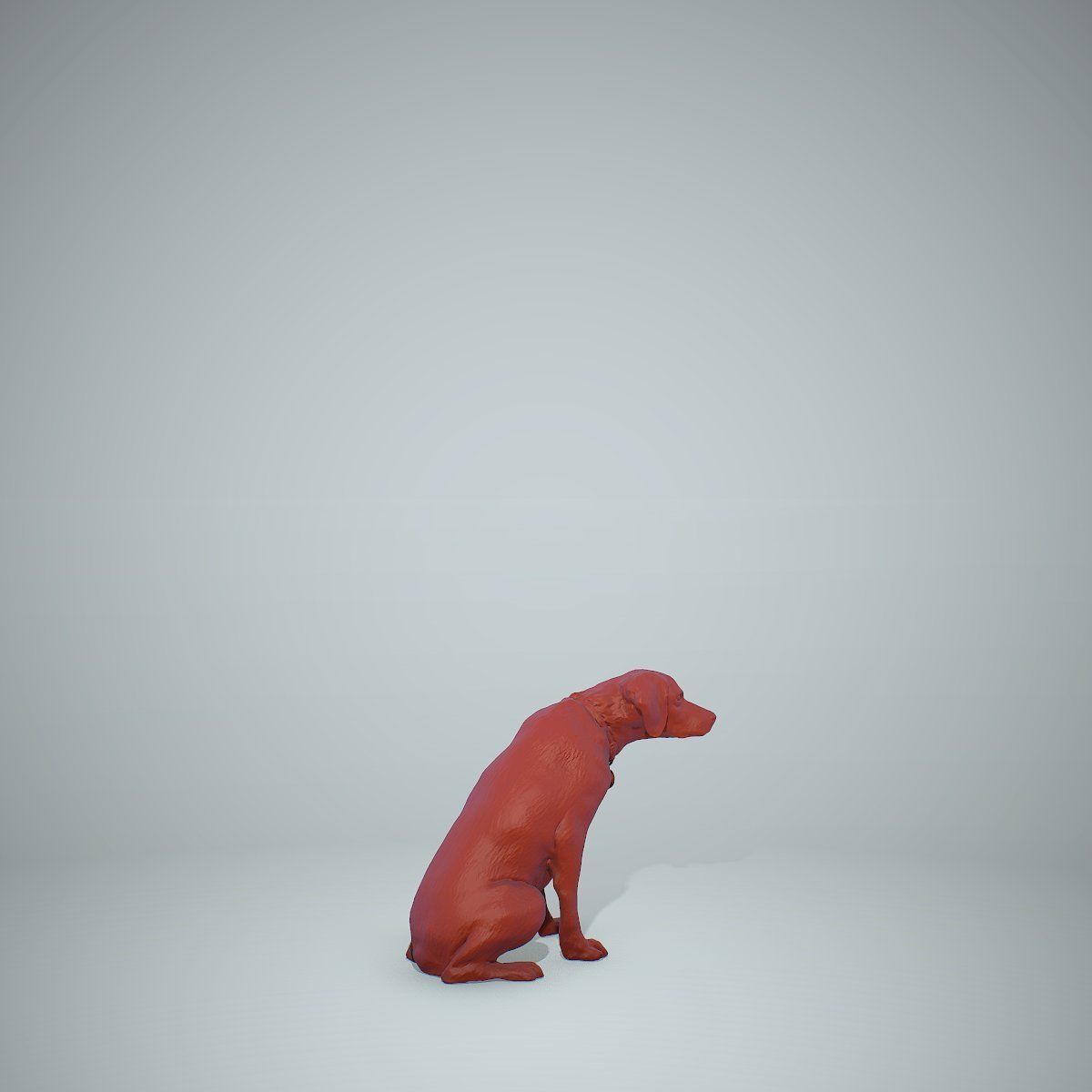 Dog Sitting Still Dog0004-HD2-P01-S 3D model_65