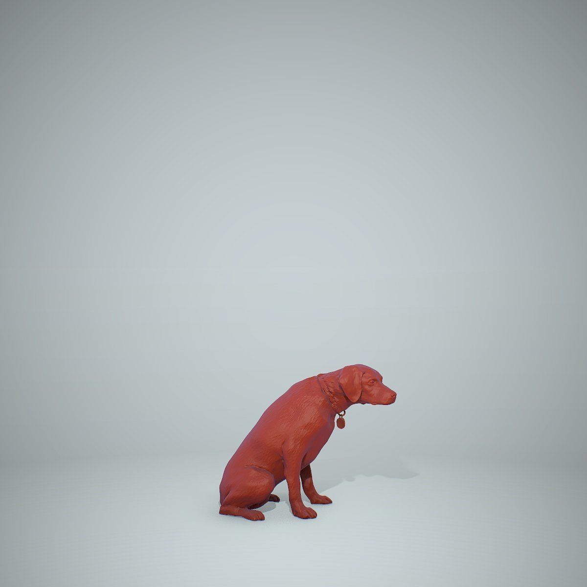 Dog Sitting Still Dog0004-HD2-P01-S 3D model_69