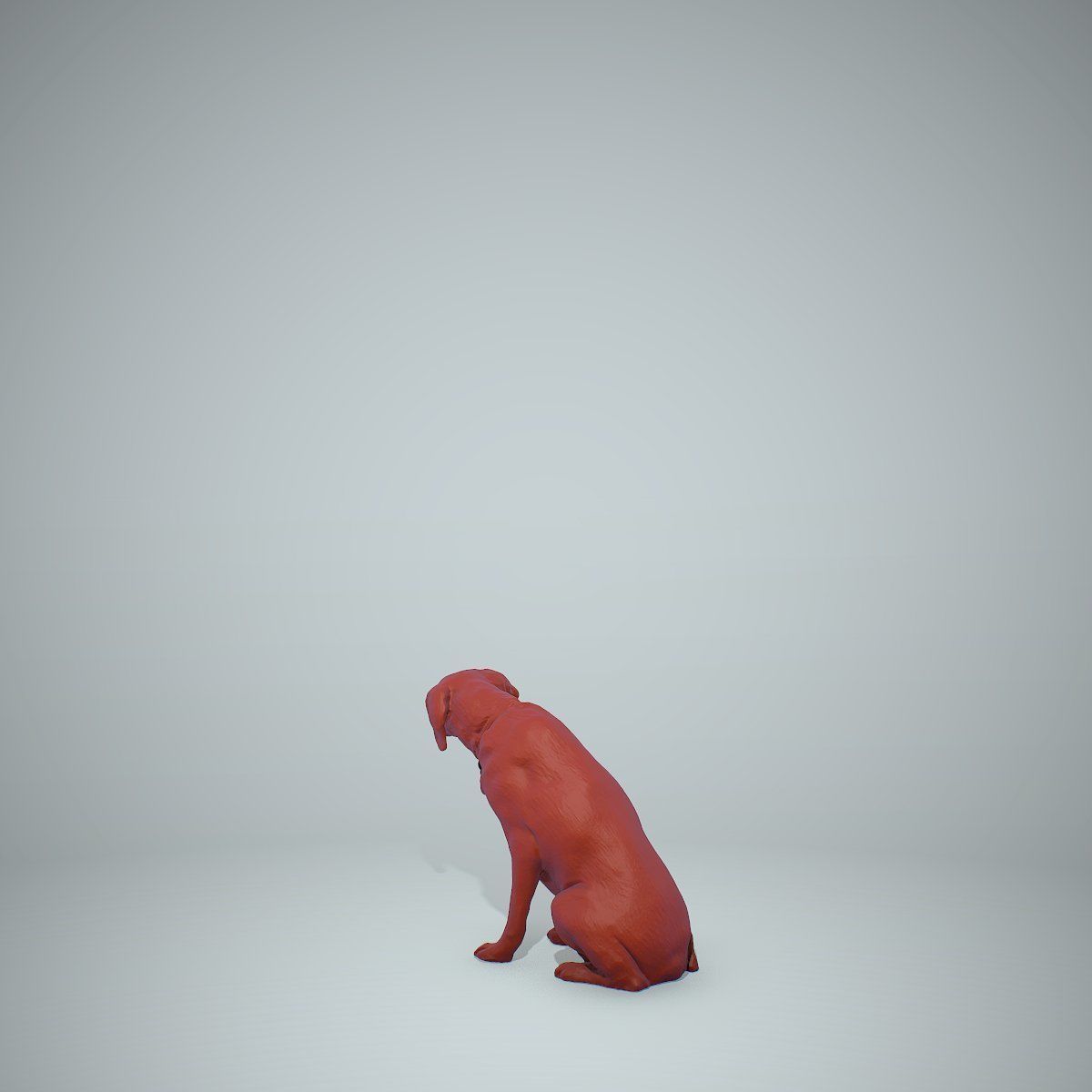 Dog Sitting Still Dog0004-HD2-P01-S 3D model_54