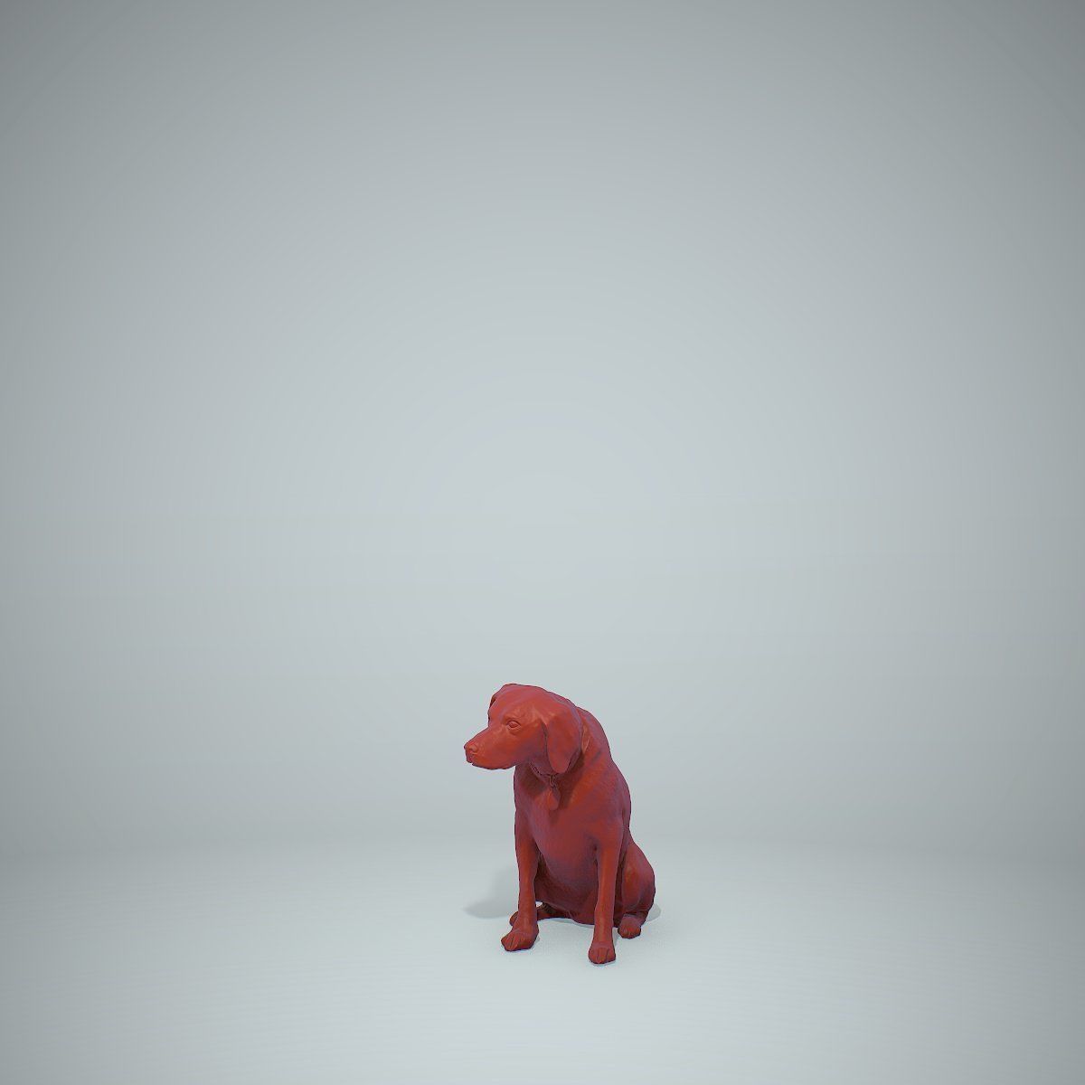 Dog Sitting Still Dog0004-HD2-P01-S 3D model_43