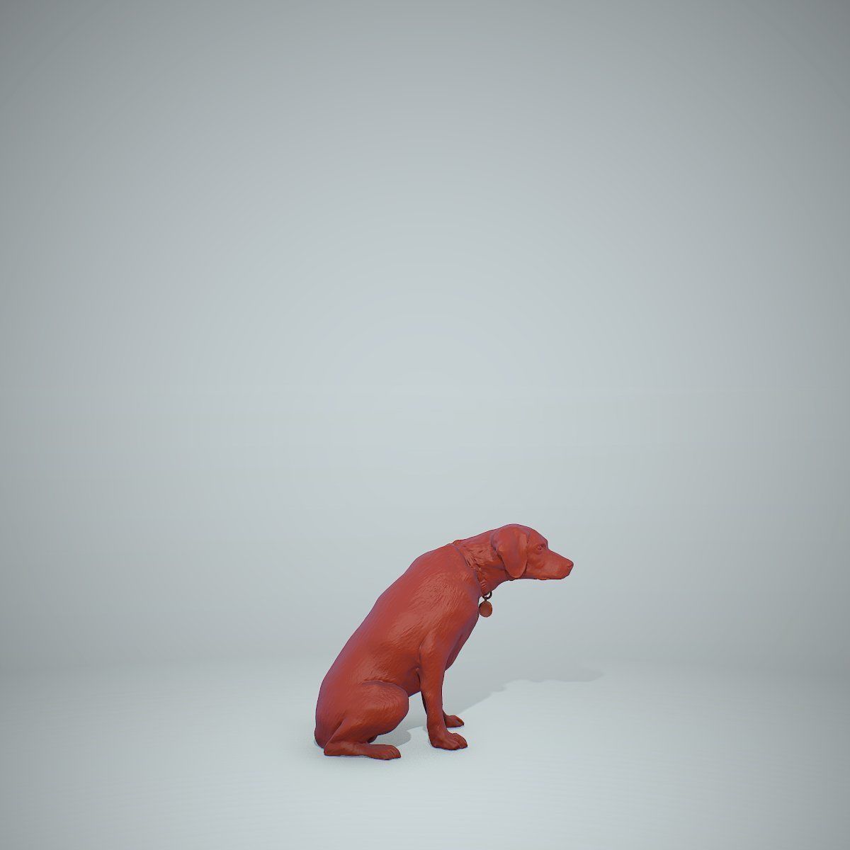 Dog Sitting Still Dog0004-HD2-P01-S 3D model_67