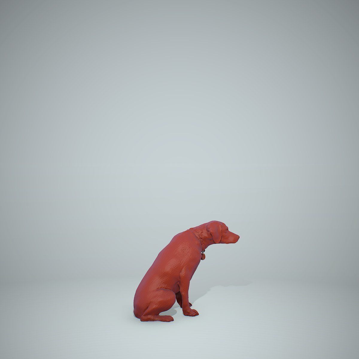 Dog Sitting Still Dog0004-HD2-P01-S 3D model_66