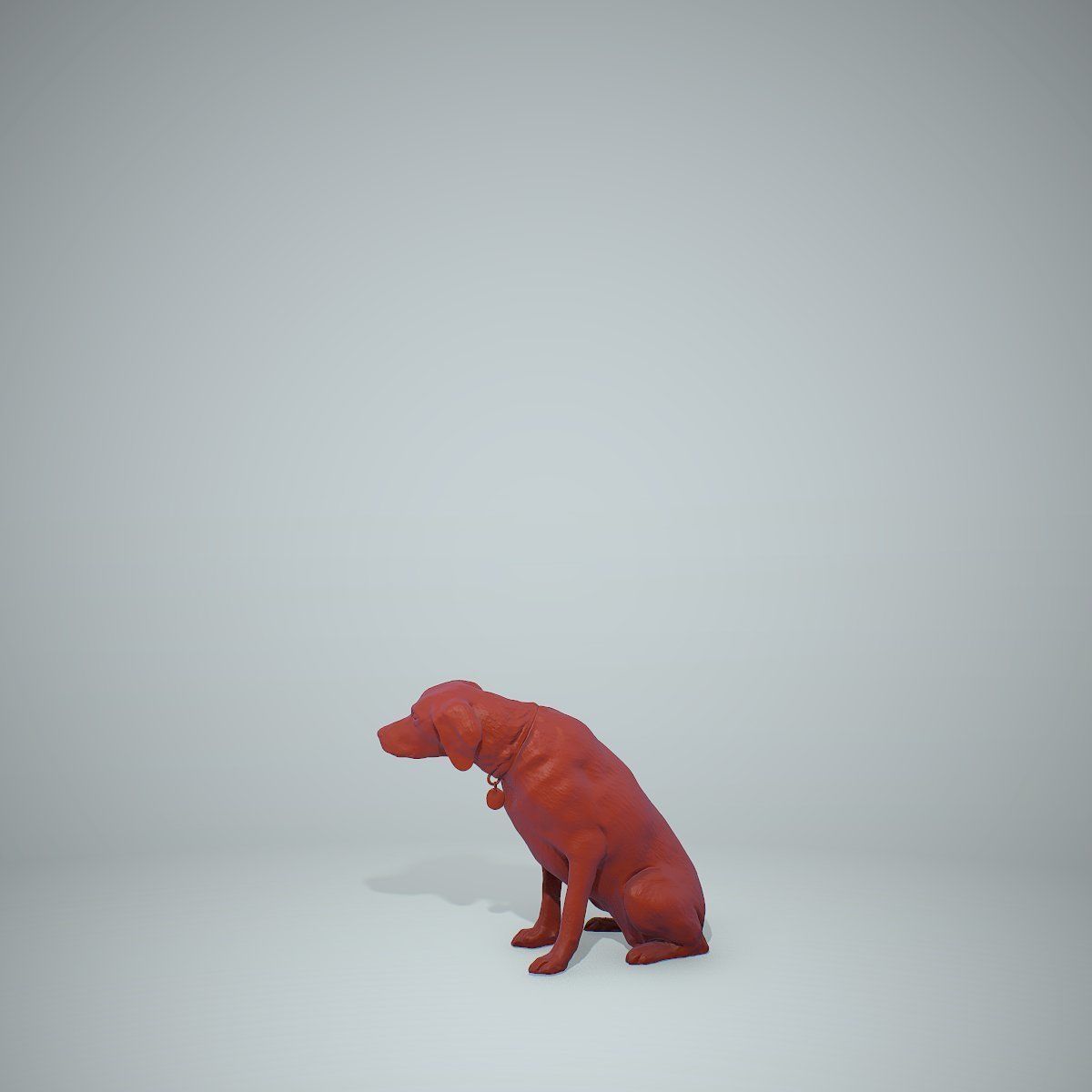 Dog Sitting Still Dog0004-HD2-P01-S 3D model_48