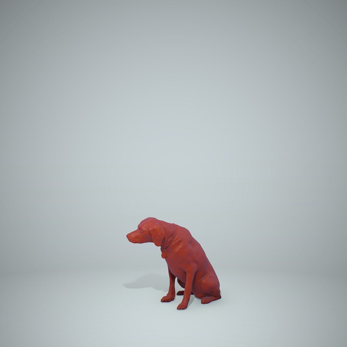 Dog Sitting Still Dog0004-HD2-P01-S 3D model_46