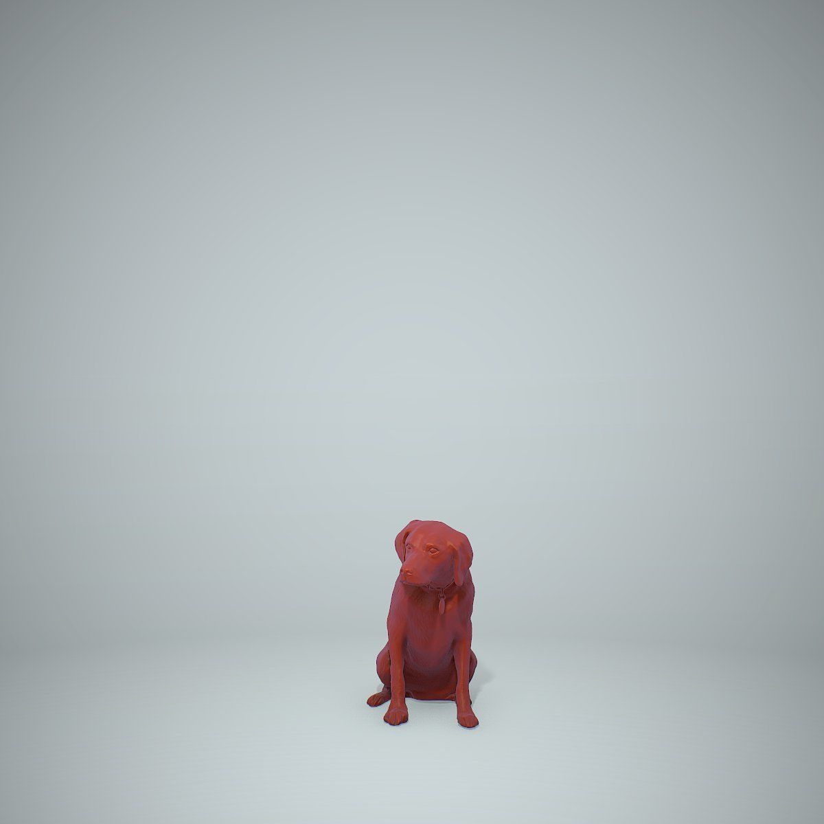 Dog Sitting Still Dog0004-HD2-P01-S 3D model_41