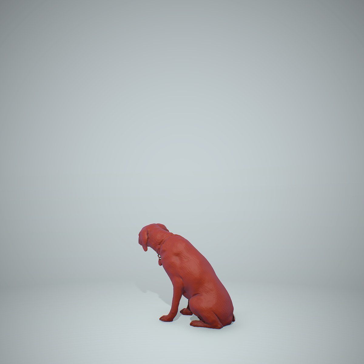 Dog Sitting Still Dog0004-HD2-P01-S 3D model_53